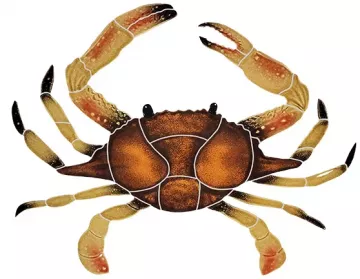 Artistry In Mosaics Crab 16 Brown Porcelain Pool Design 12" x 16"